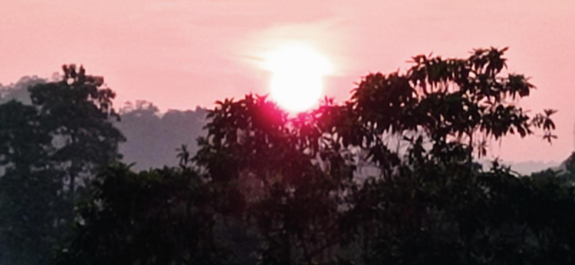 Villa Forest View - No: 50/17 Kandy Rom bilde
