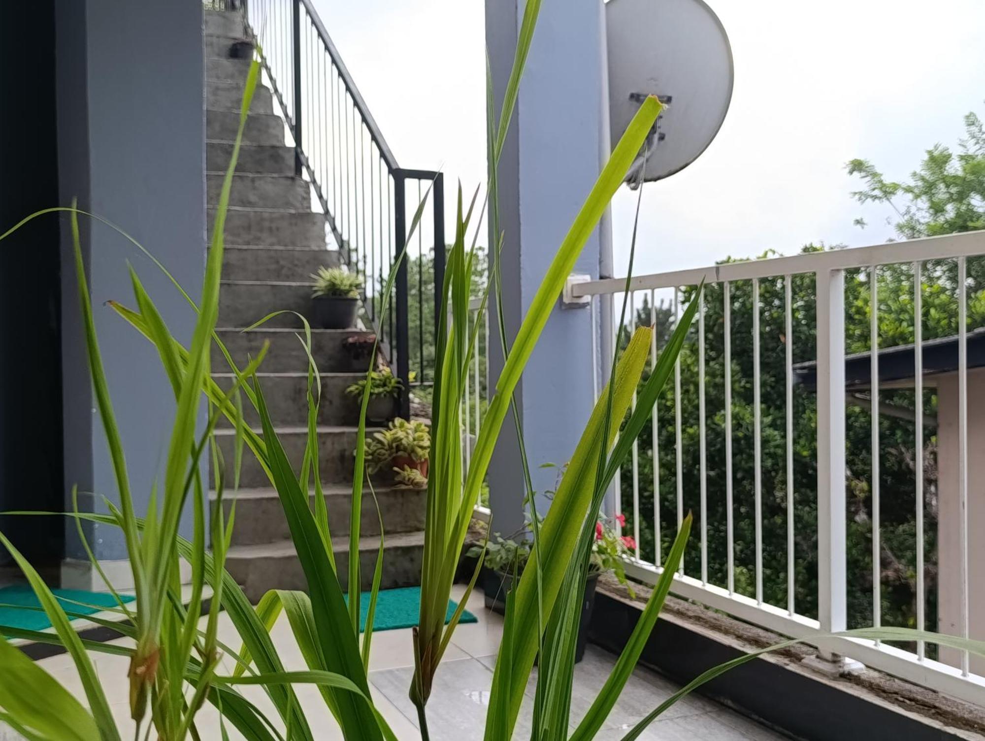 Villa Forest View - No: 50/17 Kandy Eksteriør bilde